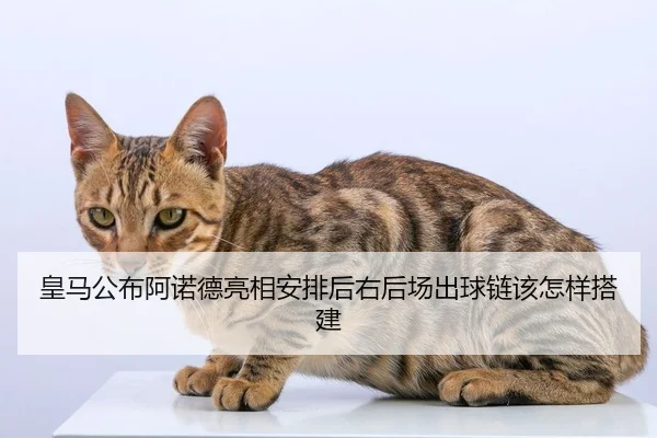 皇马公布阿诺德亮相安排后右后场出球链该怎样搭建