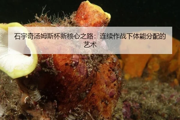 石宇奇汤姆斯杯新核心之路：连续作战下体能分配的艺术
